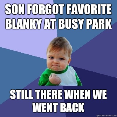 Son forgot favorite blanky at busy park still there when we went back  Success Kid