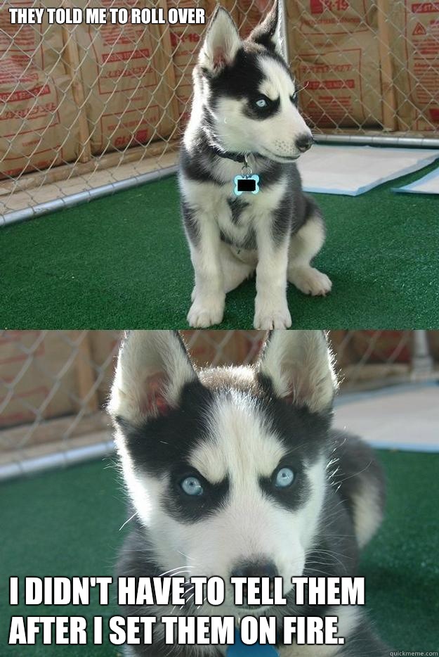 They told me to roll over I didn't have to tell them after I set them on fire.  Insanity puppy