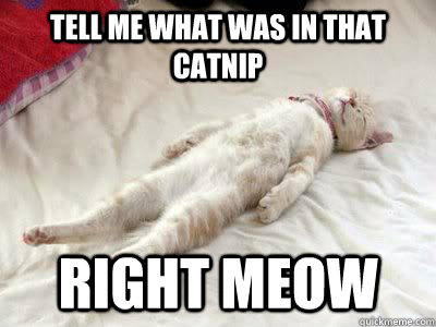 Tell me what was in that catnip right meow  