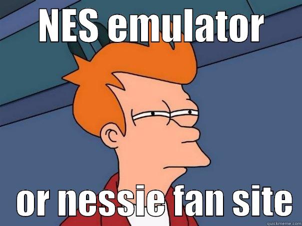 what the nes -      NES EMULATOR         OR NESSIE FAN SITE Futurama Fry