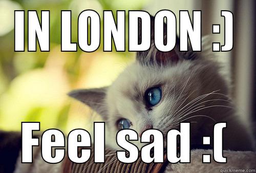 IN LONDON :) FEEL SAD :( First World Problems Cat