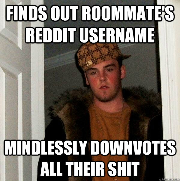Finds out roommate's reddit username mindlessly downvotes all their shit  Scumbag Steve
