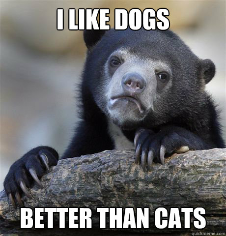 I like dogs Better than cats  Confession Bear