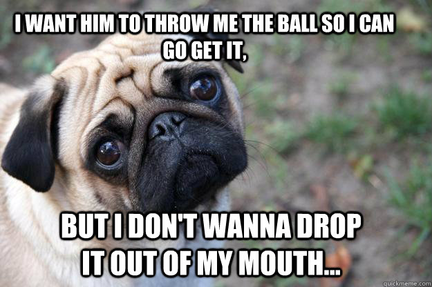 i want him to throw me the ball so i can go get it, but i don't wanna drop it out of my mouth... - i want him to throw me the ball so i can go get it, but i don't wanna drop it out of my mouth...  First World Dog problems