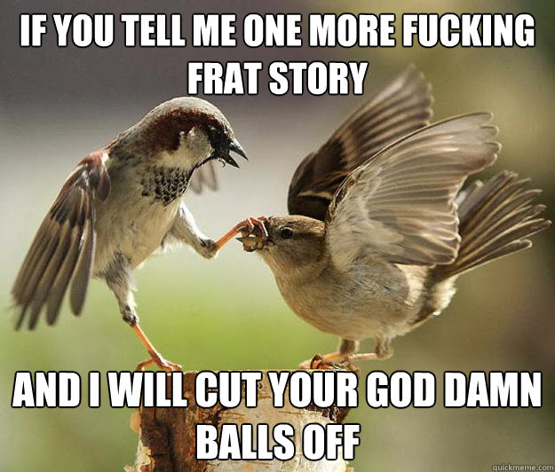 if you tell me one more fucking frat story and i will cut your god damn balls off - if you tell me one more fucking frat story and i will cut your god damn balls off  STFU birds