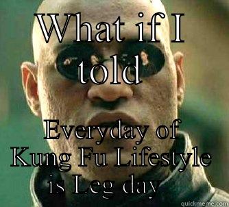 WHAT IF I TOLD EVERYDAY OF KUNG FU LIFESTYLE IS LEG DAY   Matrix Morpheus