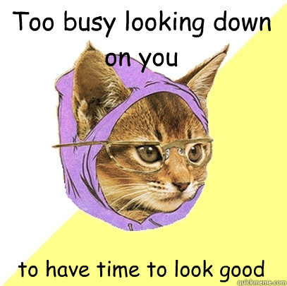 Too busy looking down on you to have time to look good  Hipster Kitty