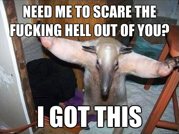 need me to scare the fucking hell out of you? i got this - need me to scare the fucking hell out of you? i got this  I got this