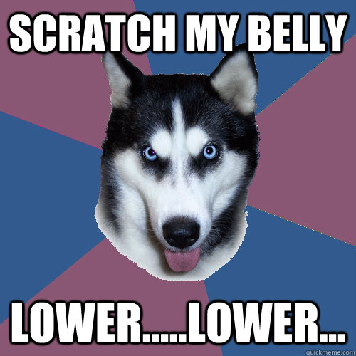 scratch my belly lower.....lower...  Creeper Canine