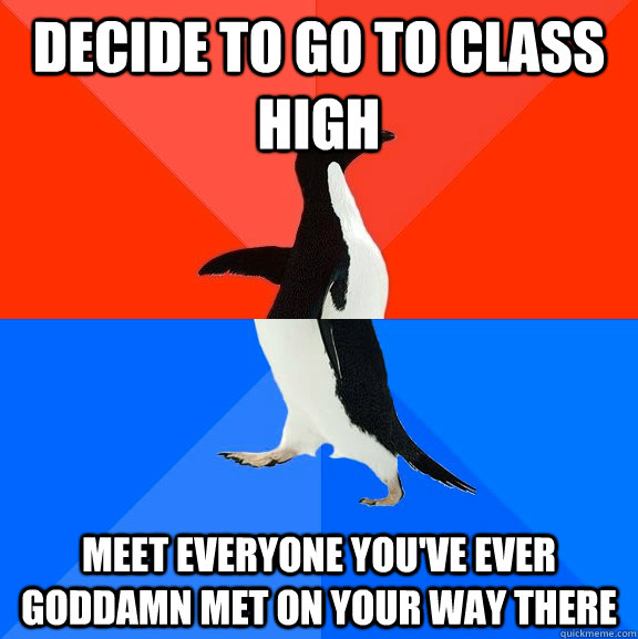 Decide to go to class high Meet everyone you've ever goddamn met on your way there  Socially Awesome Awkward Penguin