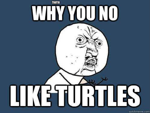 WHY YOU NO LIKE TURTLES TRUTH - WHY YOU NO LIKE TURTLES TRUTH  Y U No