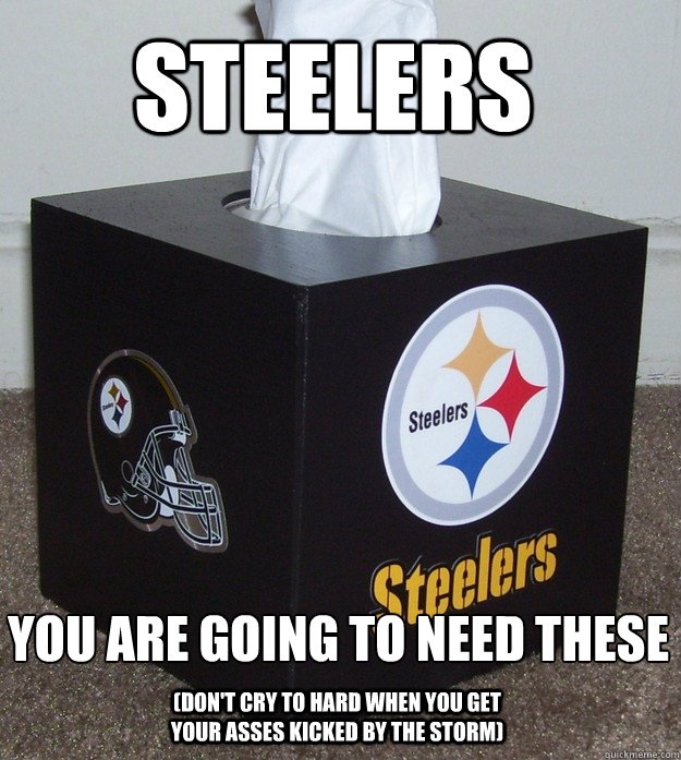 STEELERS You are going to need these (Don't Cry To Hard When You Get your asses kicked by the Storm)  