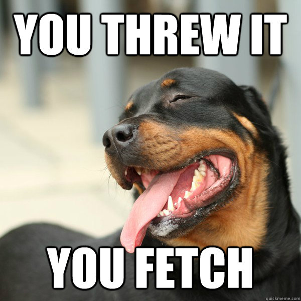You threw it you fetch - You threw it you fetch  Misc