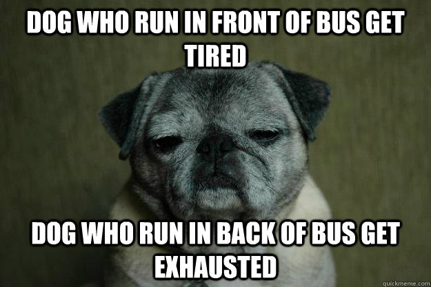 Dog who run in front of bus get tired Dog who run in back of bus get exhausted - Dog who run in front of bus get tired Dog who run in back of bus get exhausted  Wise Pug