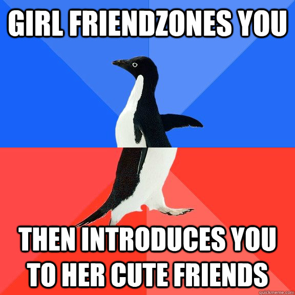 Girl friendzones you then introduces you to her cute friends  Socially Awkward Awesome Penguin
