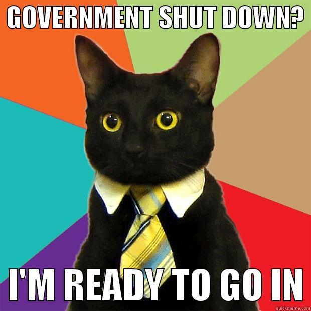 GOVERNMENT SHUT DOWN?    I'M READY TO GO IN Business Cat