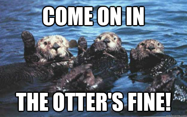 Come on in The otter's fine! - Come on in The otter's fine!  Otter Puns