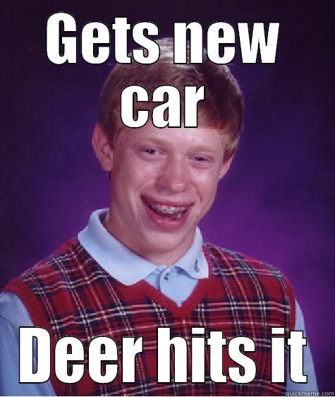 GETS NEW CAR DEER HITS IT Bad Luck Brian