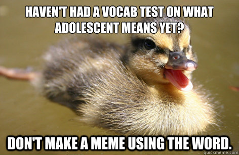 Haven't had a vocab test on what adolescent means yet? Don't make a meme using the word. - Haven't had a vocab test on what adolescent means yet? Don't make a meme using the word.  Adolescent Advice Mallard