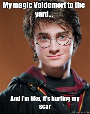 My magic Voldemort to the yard... And I'm like, it's hurting my scar - My magic Voldemort to the yard... And I'm like, it's hurting my scar  Harry potter