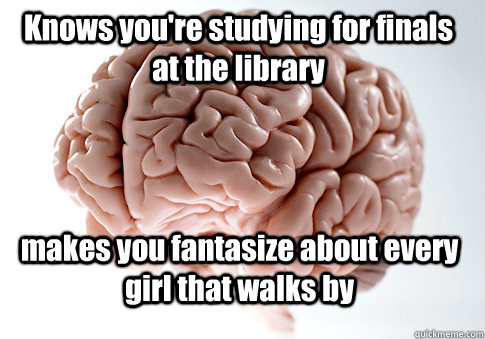 Knows you're studying for finals at the library  makes you fantasize about every girl that walks by   Scumbag Brain