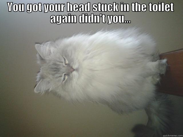 YOU GOT YOUR HEAD STUCK IN THE TOILET AGAIN DIDN'T YOU...  Misc