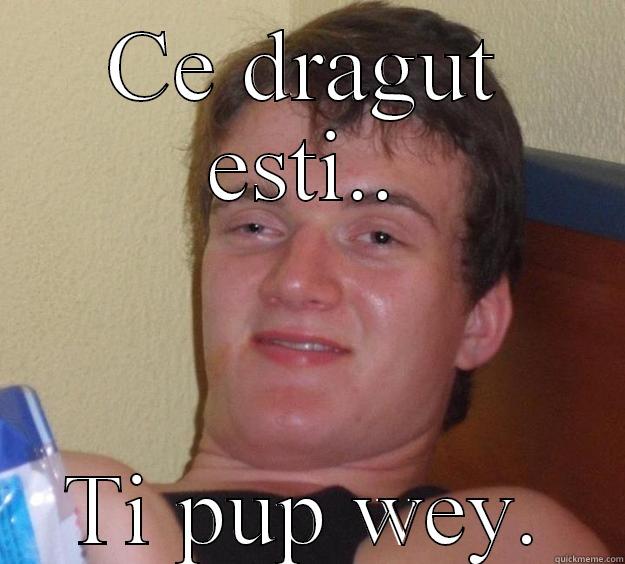 CE DRAGUT ESTI.. TI PUP WEY. 10 Guy
