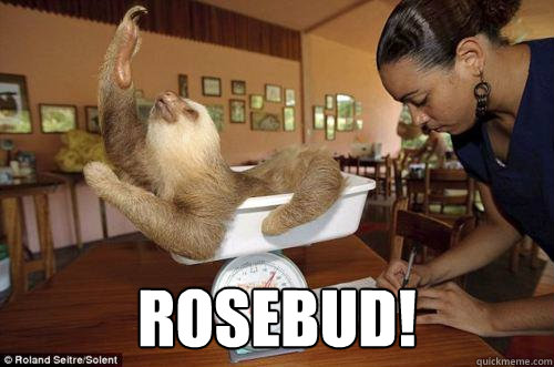 ROSEBUD!  Dramatic Sloth