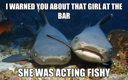 i warned you about that girl at the bar she was acting fishy  Compassionate Shark Friend