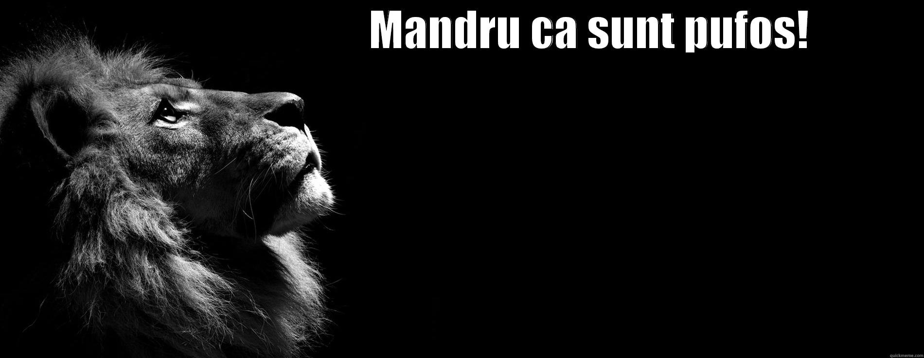                               MANDRU CA SUNT PUFOS!  Misc