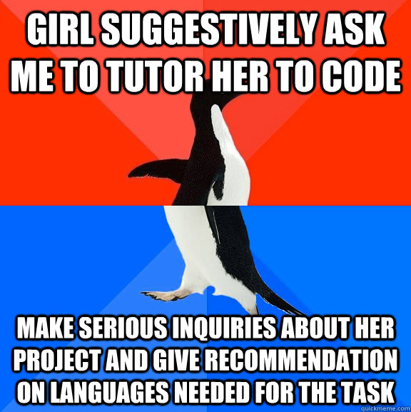 Girl suggestively ask me to tutor her to code Make serious inquiries about her project and give recommendation on languages needed for the task  Socially Awesome Awkward Penguin