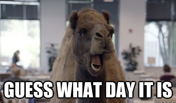  guess what day it is -  guess what day it is  Hump Day Camel