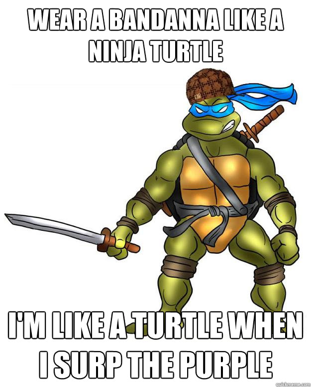 wear a bandanna like a ninja turtle  i'm like a turtle when i surp the purple - wear a bandanna like a ninja turtle  i'm like a turtle when i surp the purple  Scumbag Leonardo