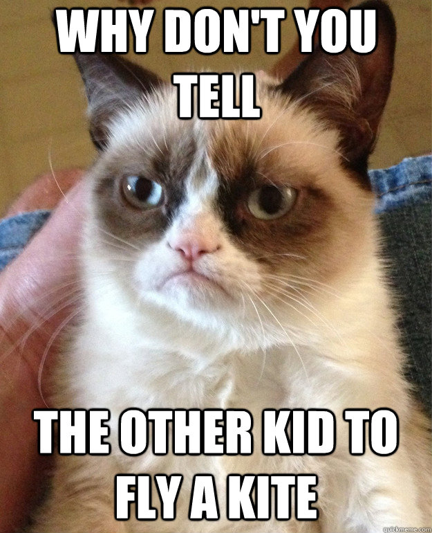 Why Don't you tell The other kid to fly a kite  Grumpy Cat