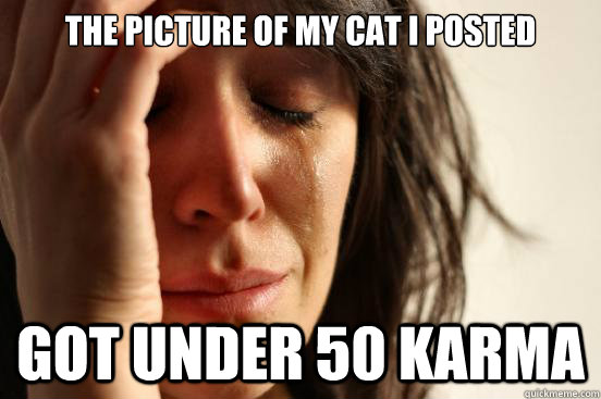 The picture of my cat I posted got under 50 karma  First World Problems