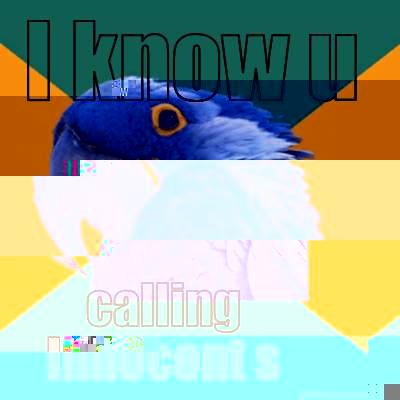 I KNOW U CALLING INNOCENT SIMWAKA Paranoid Parrot