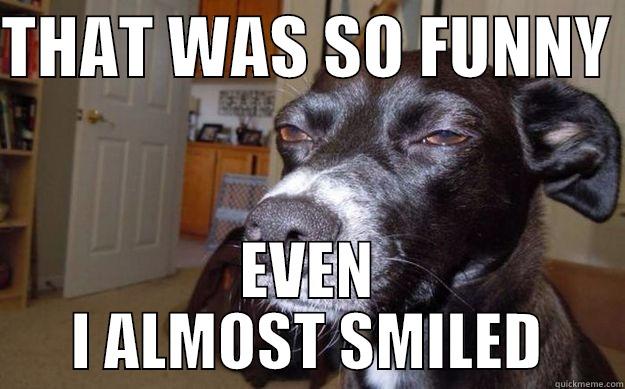 funny 4 LEGGED FRIEND - THAT WAS SO FUNNY  EVEN I ALMOST SMILED Skeptical Mutt