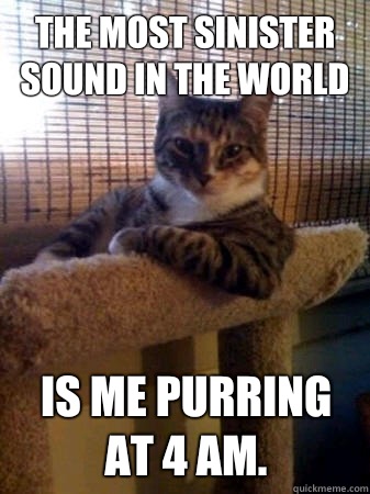 The most sinister sound in the world Is me purring at 4 am.  The Most Interesting Cat in the World