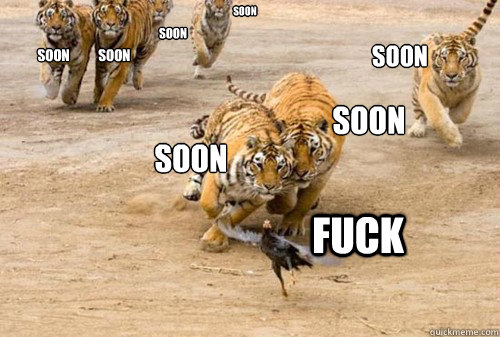 fuck soon soon soon           soon Soon SOOn  soon  Soon