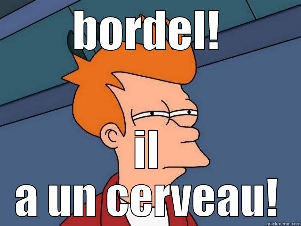 BORDEL! IL A UN CERVEAU! Futurama Fry