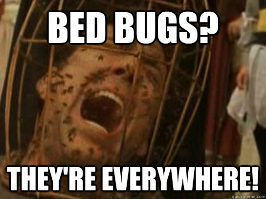 Bed bugs? They're everywhere! - Bed bugs? They're everywhere!  Nicolas Cage