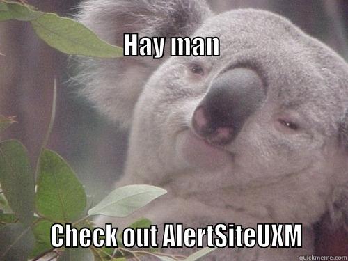 Lazy Koala -                                                                HAY MAN        CHECK OUT ALERTSITEUXM      Misc