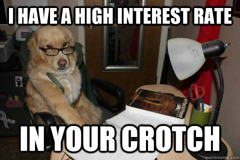 I have a high interest rate In your crotch  Financial Advice Dog