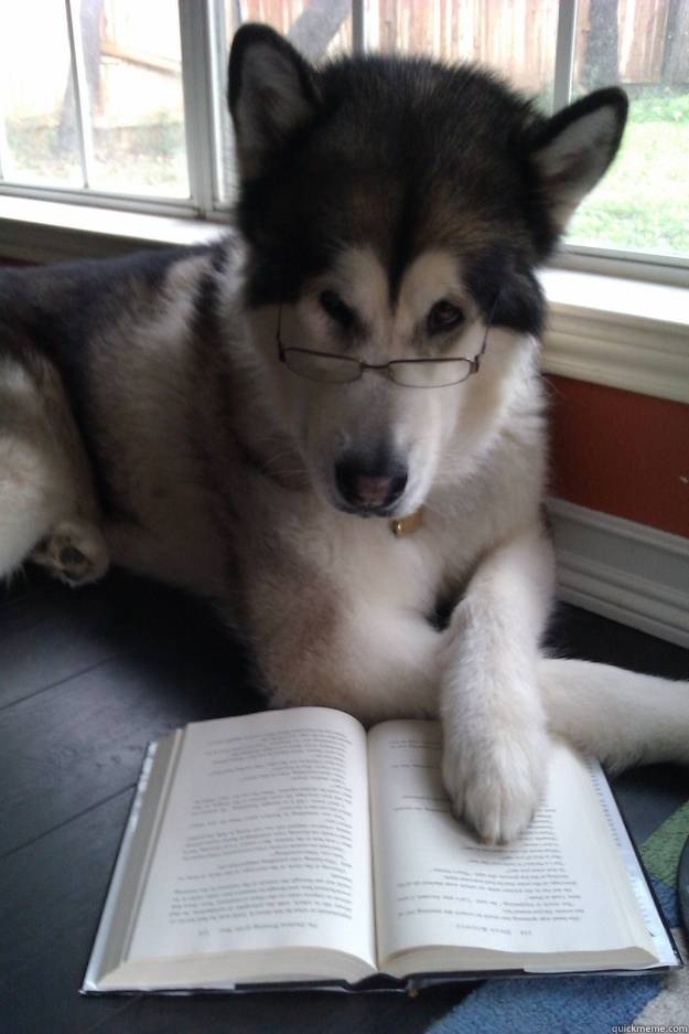   -    Condescending Literary Pun Dog