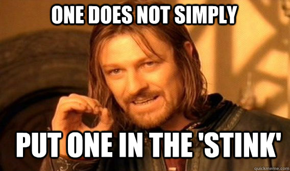 One does not simply put one in the 'stink'  Boromir