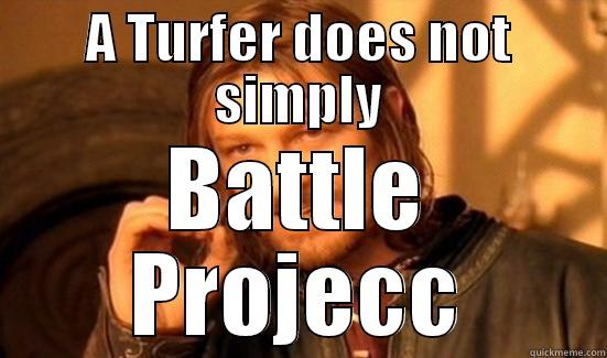 A TURFER DOES NOT SIMPLY BATTLE PROJECC Boromir