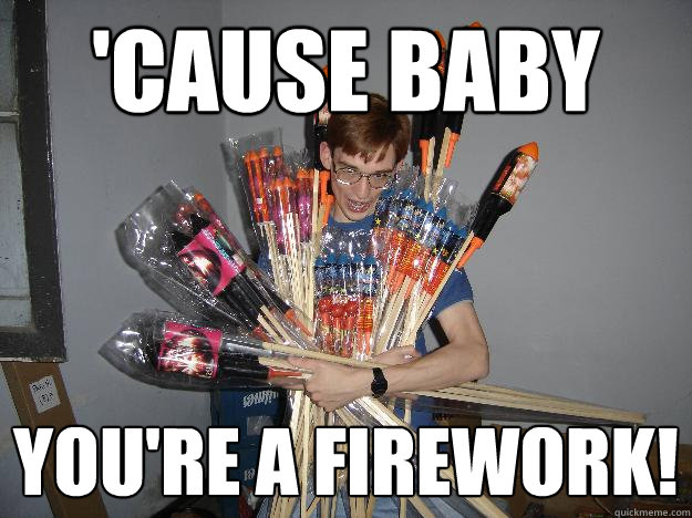 'Cause baby you're a firework! - 'Cause baby you're a firework!  Crazy Fireworks Nerd