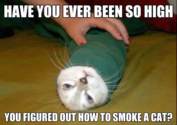 Have you ever been so high you figured out how to smoke a cat?  