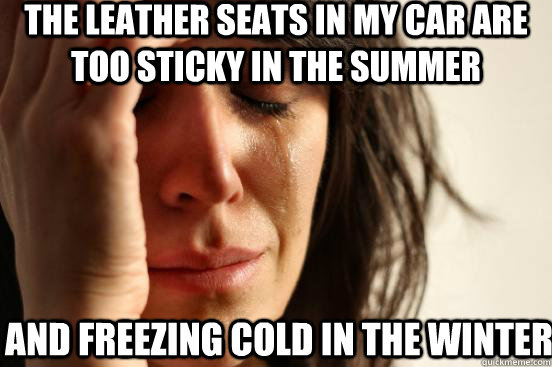The leather seats in my car are too sticky in the summer and freezing cold in the winter  First World Problems