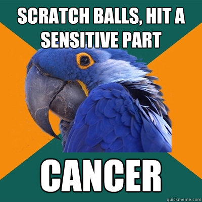 Scratch balls, hit a sensitive part cancer  Paranoid Parrot